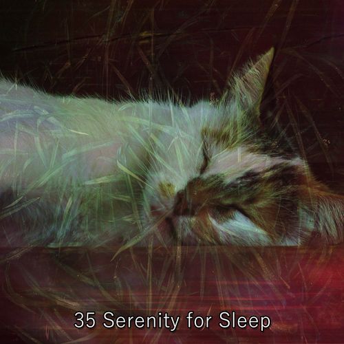 35 Serenity for Sleep_poster_image