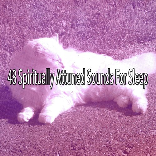 48 Spiritually Attuned Sounds For Sleep