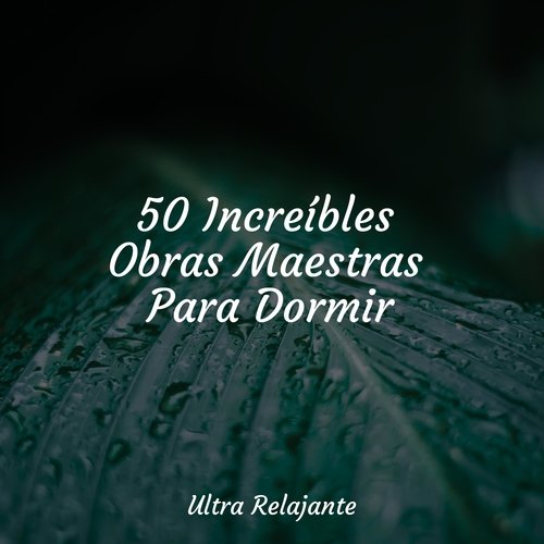 50 Increíbles Obras Maestras Para Dormir_poster_image