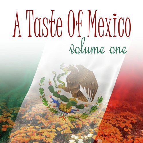 A Taste Of Mexico Vol 1