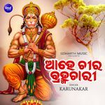 Ahe Chira Bramhachari