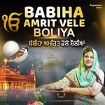 Babiha Amrit Vele Boliya