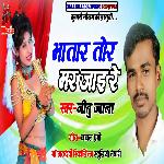 Bhataar Tor Mar Jai Re