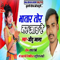 Bhataar Tor Mar Jai Re