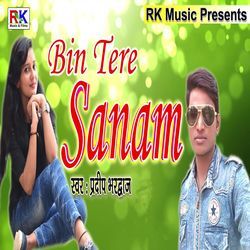 Bin Tere Sanam-ARE,eAF,RUE