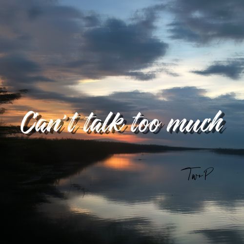 Can't talk too much_poster_image