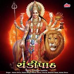 Na Mantram No Jantram   Devi Paradha Stotram