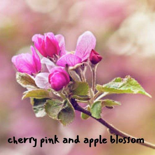 Cherry Pink and Apple Blossom