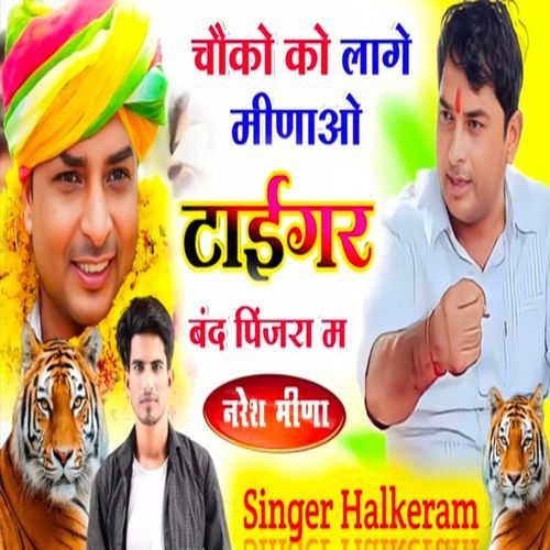 Choko Ko Laage Meenao Tiger Band Pinjara Me