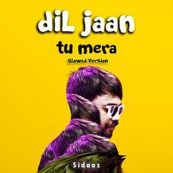 Dil Jaan Tu Mera (Slowed Version)-EikZaARmWX8