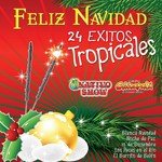 Blanca Navidad.