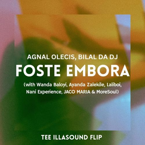 Foste Embora (with Wanda Baloyi, Laliboi, Nani Experience, MoreSoul, Ayanda Zalekile & Jaco Maria) ((Tee Illa Sound Flip) Instrumental) cover art