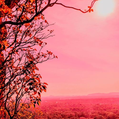 Jaws and Claws - GEEZER! Remix