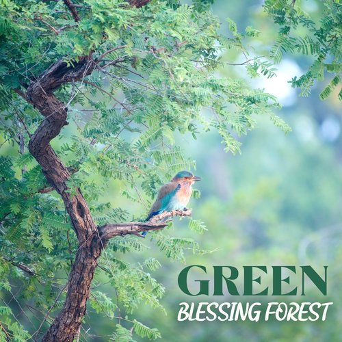 Nature Morning Alarm Ringtones cover art