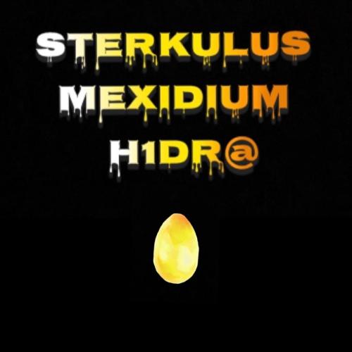 H1dr@ cover art