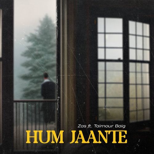 Hum Jaante (feat. Taimour Baig) cover art