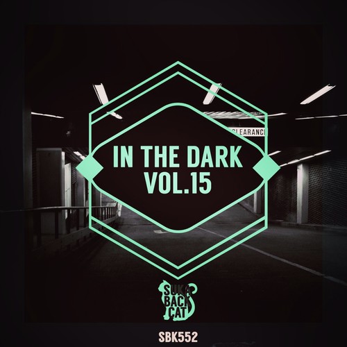 In the Dark, Vol. 15