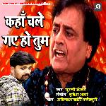Kahan Chale Gaye Ho Tum