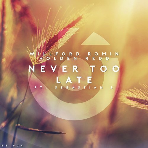 Never Too Late_poster_image