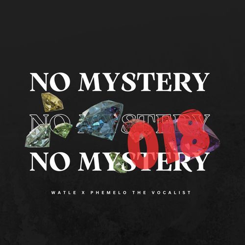 No mystery 018 (with. Phemelo the vocalist)