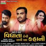 O Re O Vidhata Kevi Lakhi Aa Kahani