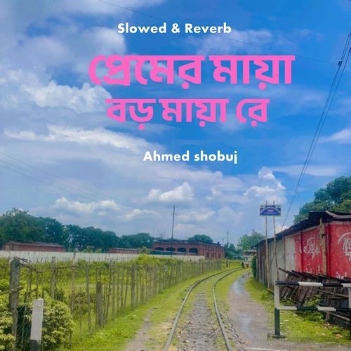 Premer Maya Boro Maya Re (Slowed & Reverb)