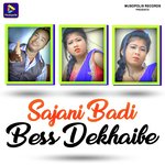 Sajani Badi Bess Dekhaibe
