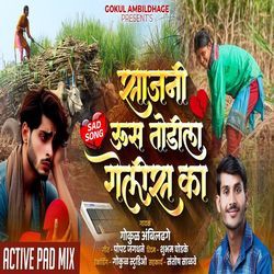 Sajani Us Todila Gelis Ka