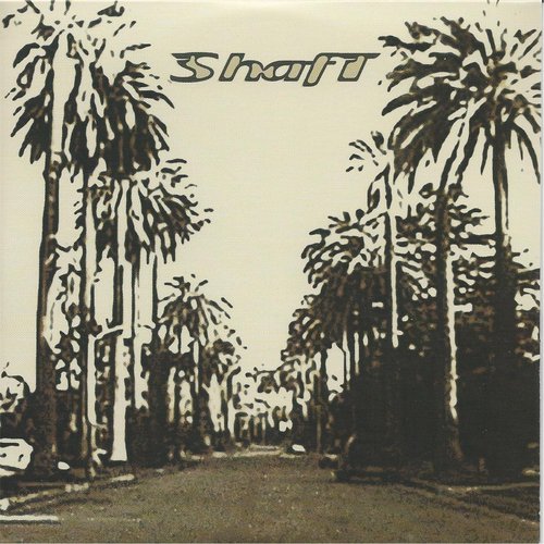 Shaft