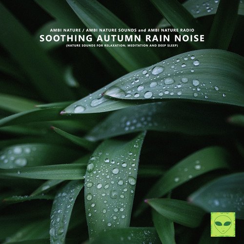 Meditation Rain Sounds cover art