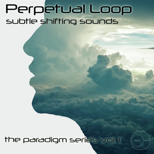 Subtle Shifting Sounds: The Paradigm Series, Vol. 1