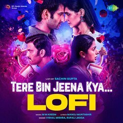 Tere Bin Jeena Kya - Lofi-BRFdBRloXVA