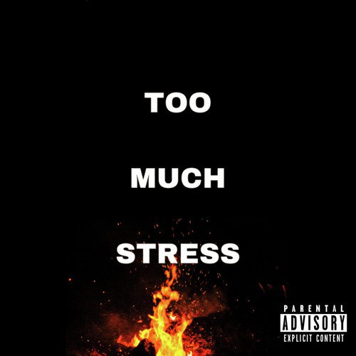 Too Much Stress_poster_image