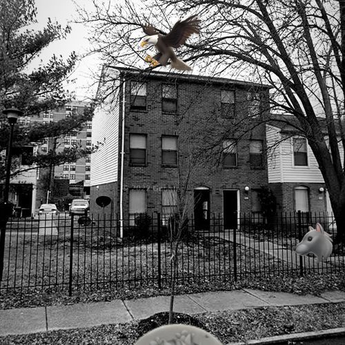 MY BLOCK cover art