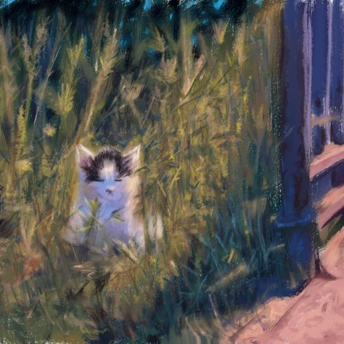 breakcore cat
