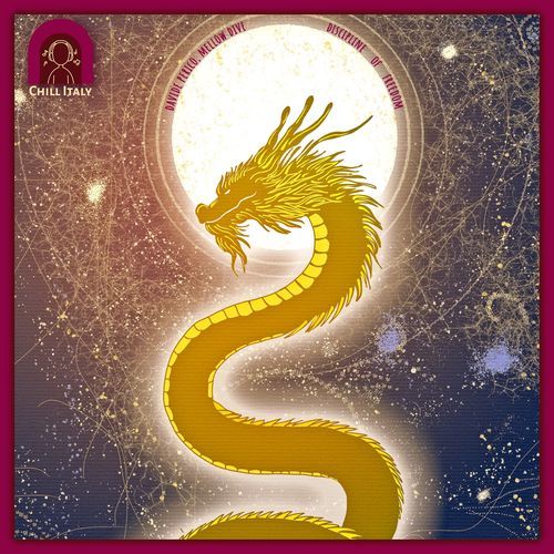 discipline of freedom