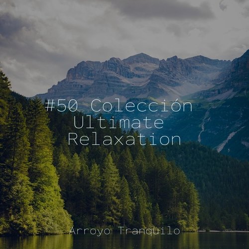 #50 Colección Ultimate Relaxation