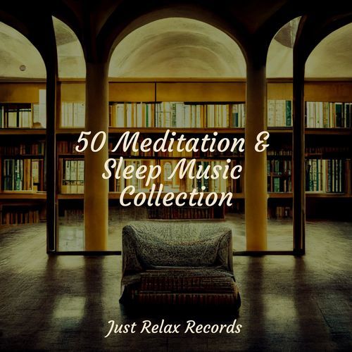 50 Meditation & Sleep Music Collection