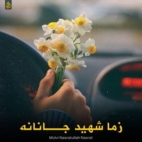 زما شهید جانانه