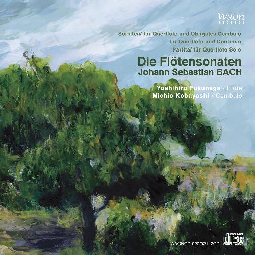 Flute Sonata in C Major, BWV 1033: I. Andante - Presto