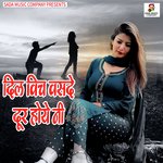 DIL VICH WASDE DOOR HOVE NE