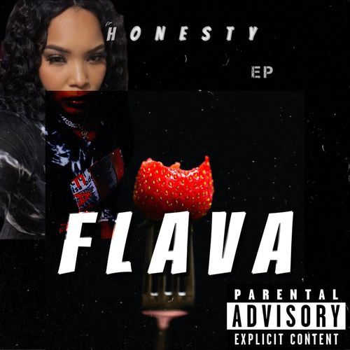 FLAVA_poster_image