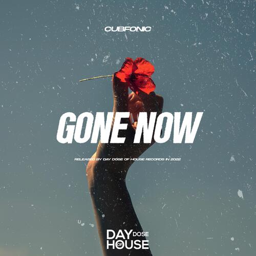 Gone Now_poster_image