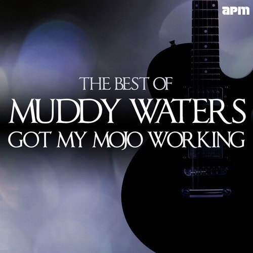Double Trouble Lyrics - Muddy Waters - Only on JioSaavn