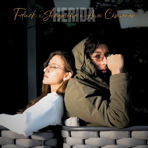 Herida cover art