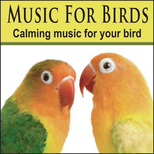 Music For Birds: Cockatoo Music, Bird Music, Parrot Music_poster_image