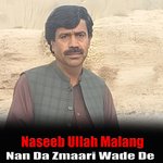 Nan Da Zmaari Wade De