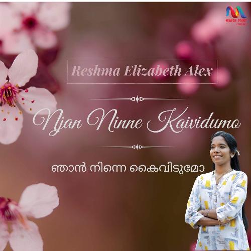 Njan Ninne Kaividumo - Single