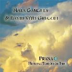 Prana: Healing Tones for Life
