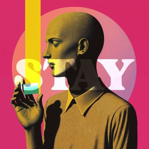 STAY (lofi cover) cover art